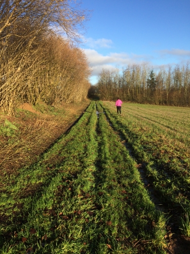 marcher,marcher à deux,parcours,circuit pédestre,marcher vite , perdre des calories,entre les fêtes